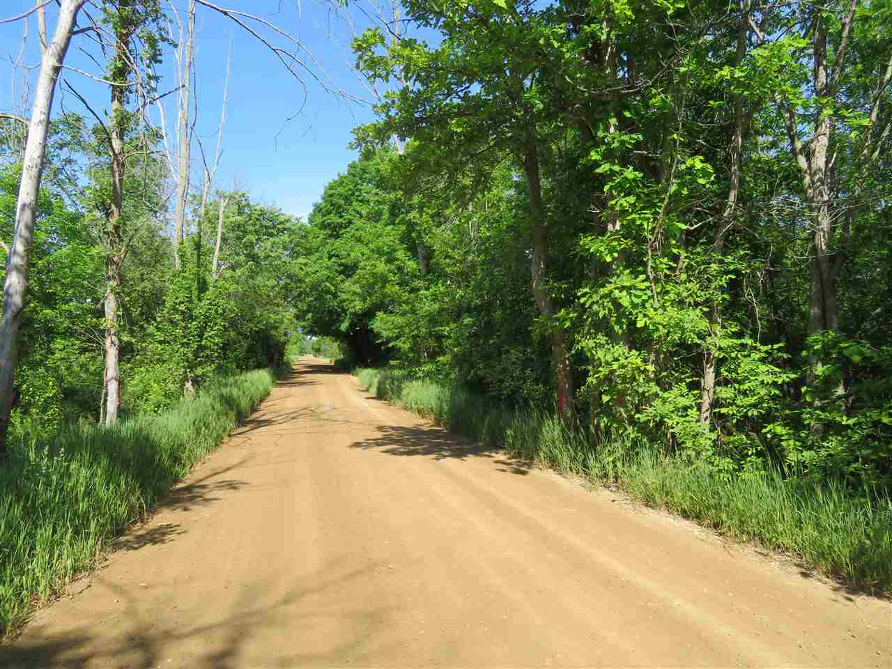 0 Howell Road Otter Lake, MI 48464 - Photo 9 of 9