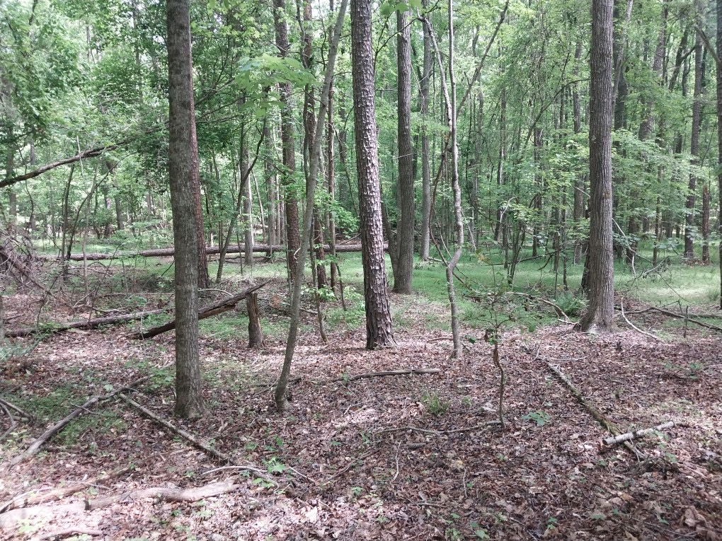 846 Latimer Mill Road Honea Path, SC 29654 - Photo 11 of 17