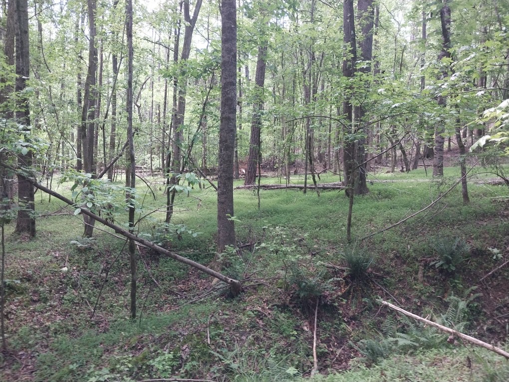 846 Latimer Mill Road Honea Path, SC 29654 - Photo 12 of 17