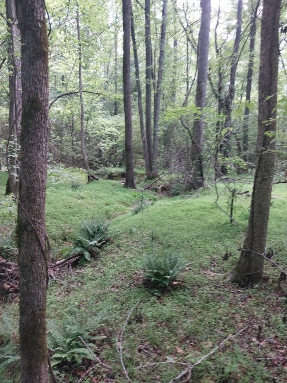 846 Latimer Mill Road Honea Path, SC 29654 - Photo 13 of 17