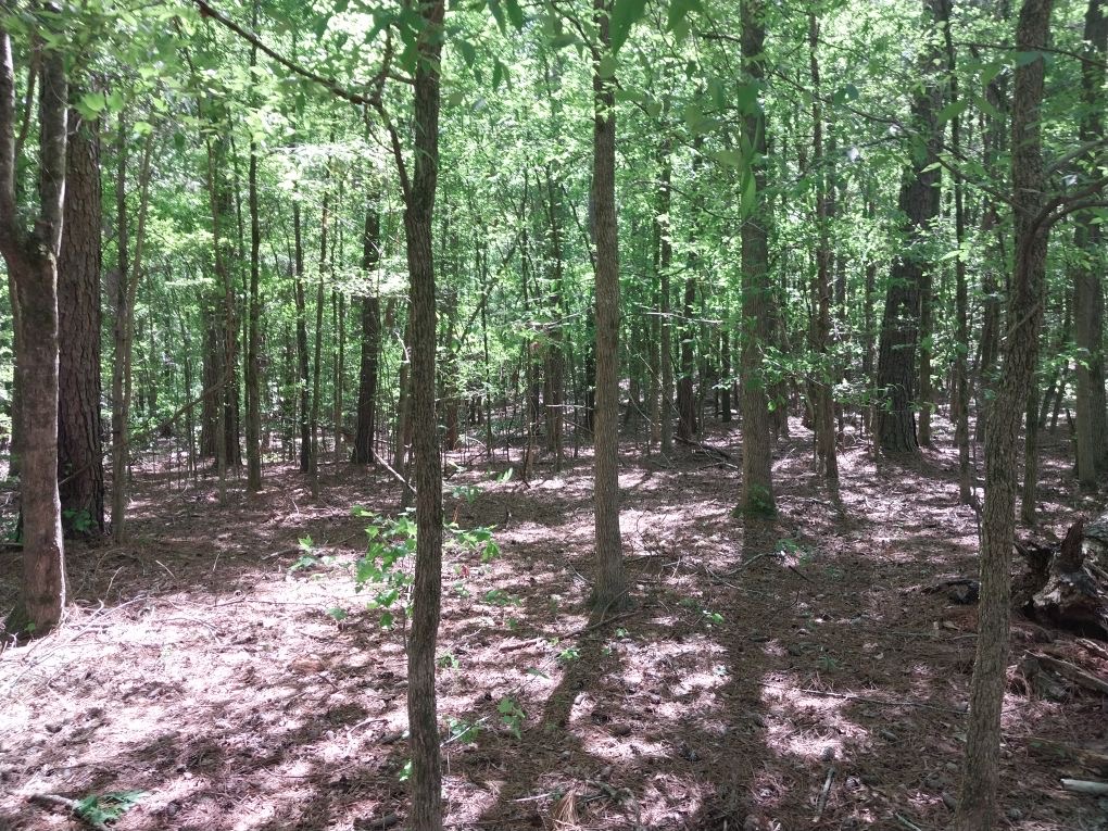 846 Latimer Mill Road Honea Path, SC 29654 - Photo 14 of 17