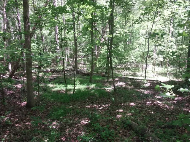 $350,000 | 846 Latimer Mill Road, Honea Path, SC 29654