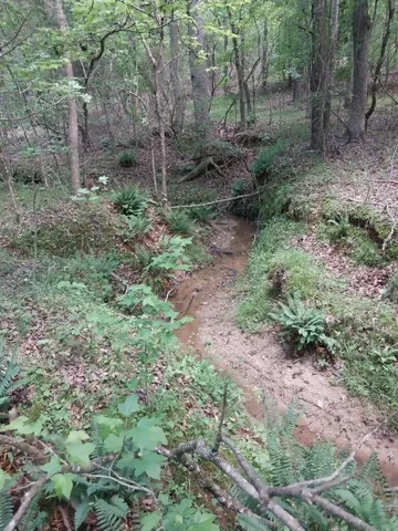 $350,000 | 846 Latimer Mill Road, Honea Path, SC 29654