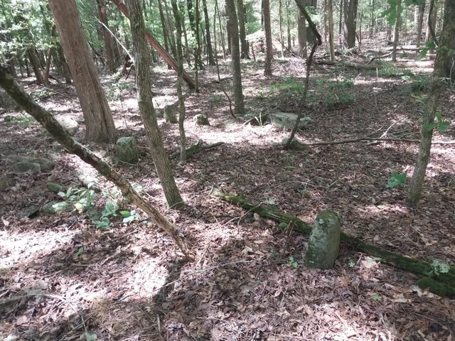 $350,000 | 846 Latimer Mill Road, Honea Path, SC 29654