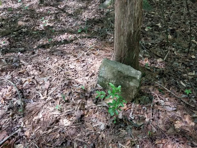 $350,000 | 846 Latimer Mill Road, Honea Path, SC 29654