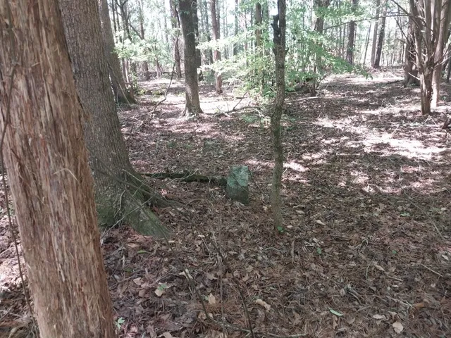 $350,000 | 846 Latimer Mill Road, Honea Path, SC 29654