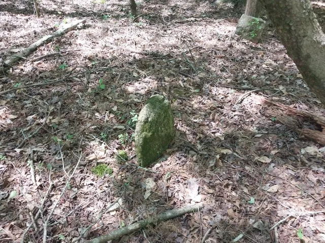 $350,000 | 846 Latimer Mill Road, Honea Path, SC 29654