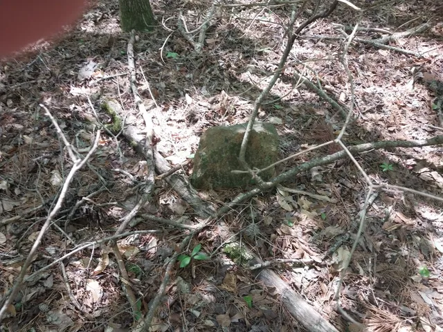 $350,000 | 846 Latimer Mill Road, Honea Path, SC 29654