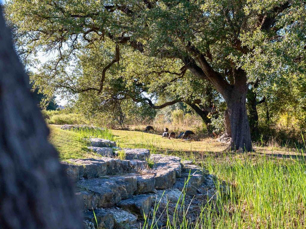 8496 Forest Lake Loop Cleburne, TX 76033 - Photo 10 of 10 a view of a yard with plants and large trees