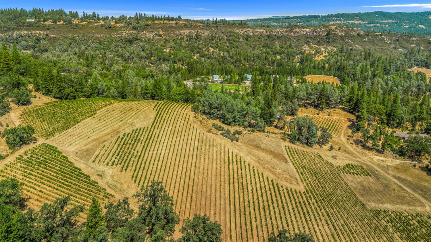 4180 Pleasant Valley Road Placerville, CA 95667 - Photo 56 of 61 Gallery Image 56
