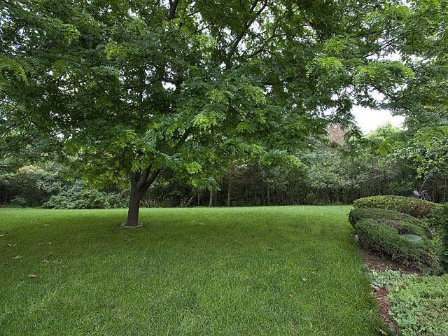 2748 North Maple Road Ann Arbor, MI 48103 - Photo 17 of 17 Side yard.