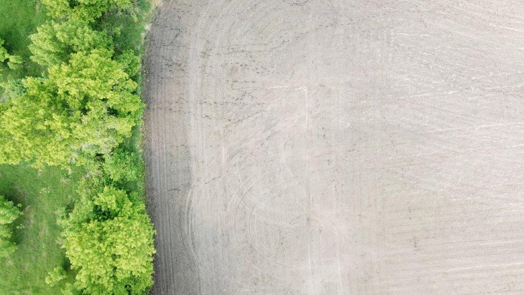 4365 40th Street Southwest Waverly, MN 55390 - Photo 11 of 46