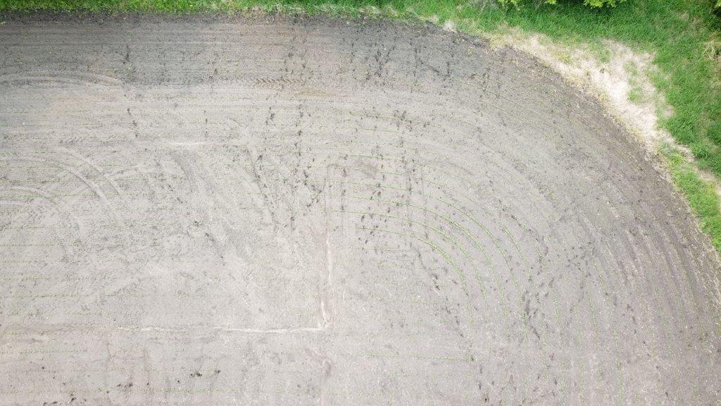 4365 40th Street Southwest Waverly, MN 55390 - Photo 12 of 46