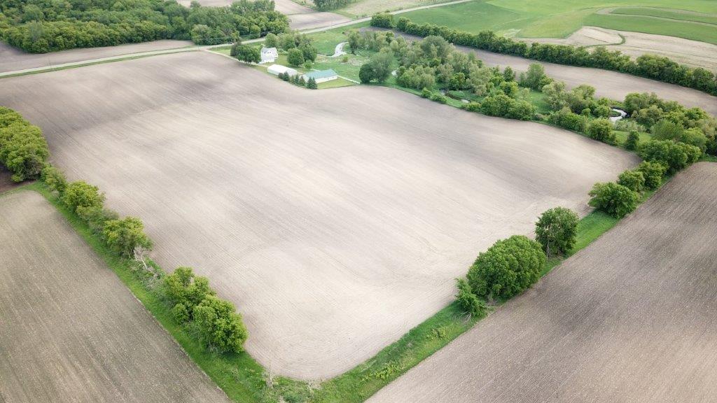 4365 40th Street Southwest Waverly, MN 55390 - Photo 6 of 46