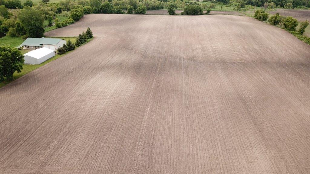 4365 40th Street Southwest Waverly, MN 55390 - Photo 7 of 46