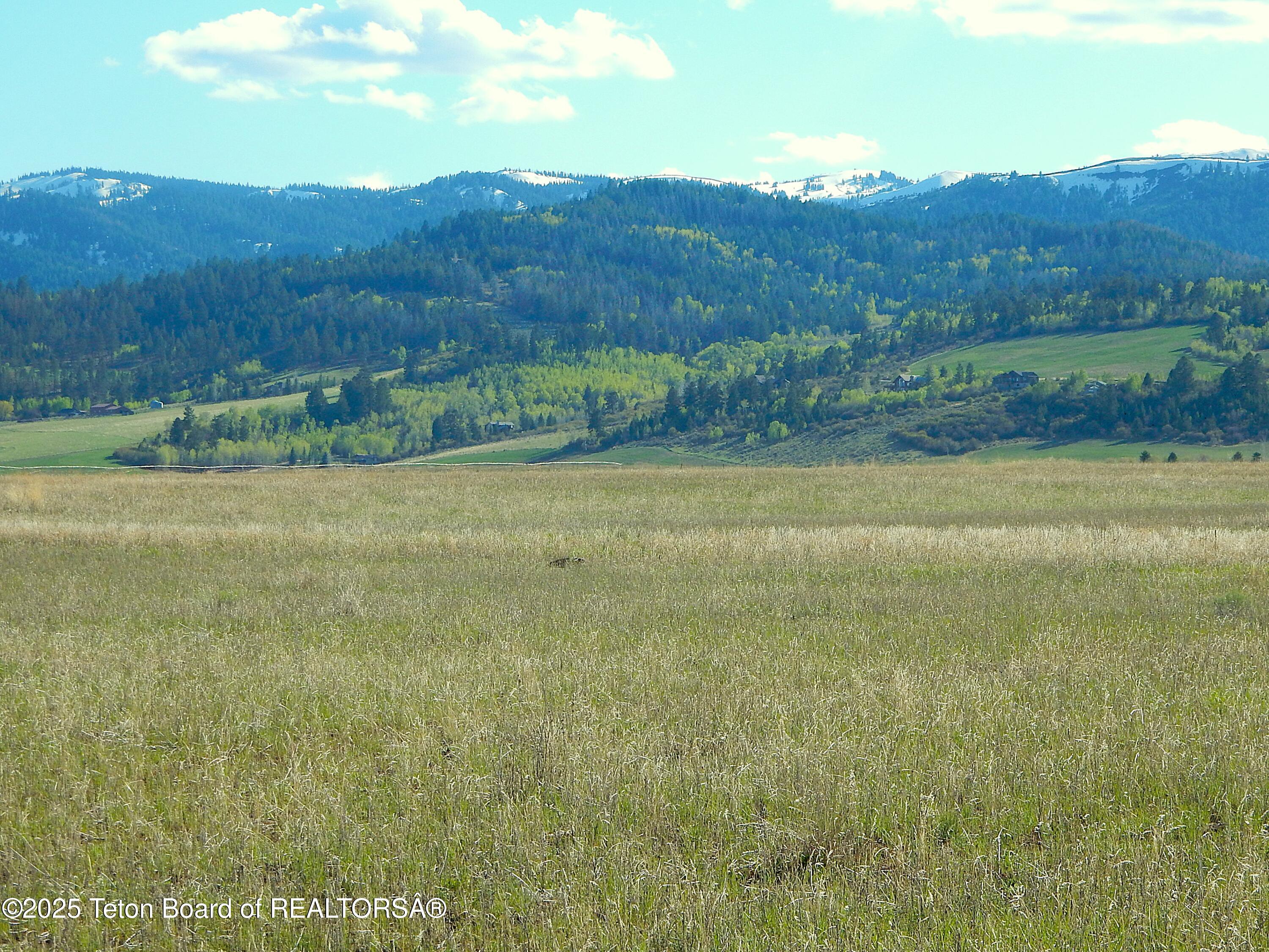 6135 West 1400 North Driggs, ID 83422 - Photo 11 of 16 Gorgeous Views