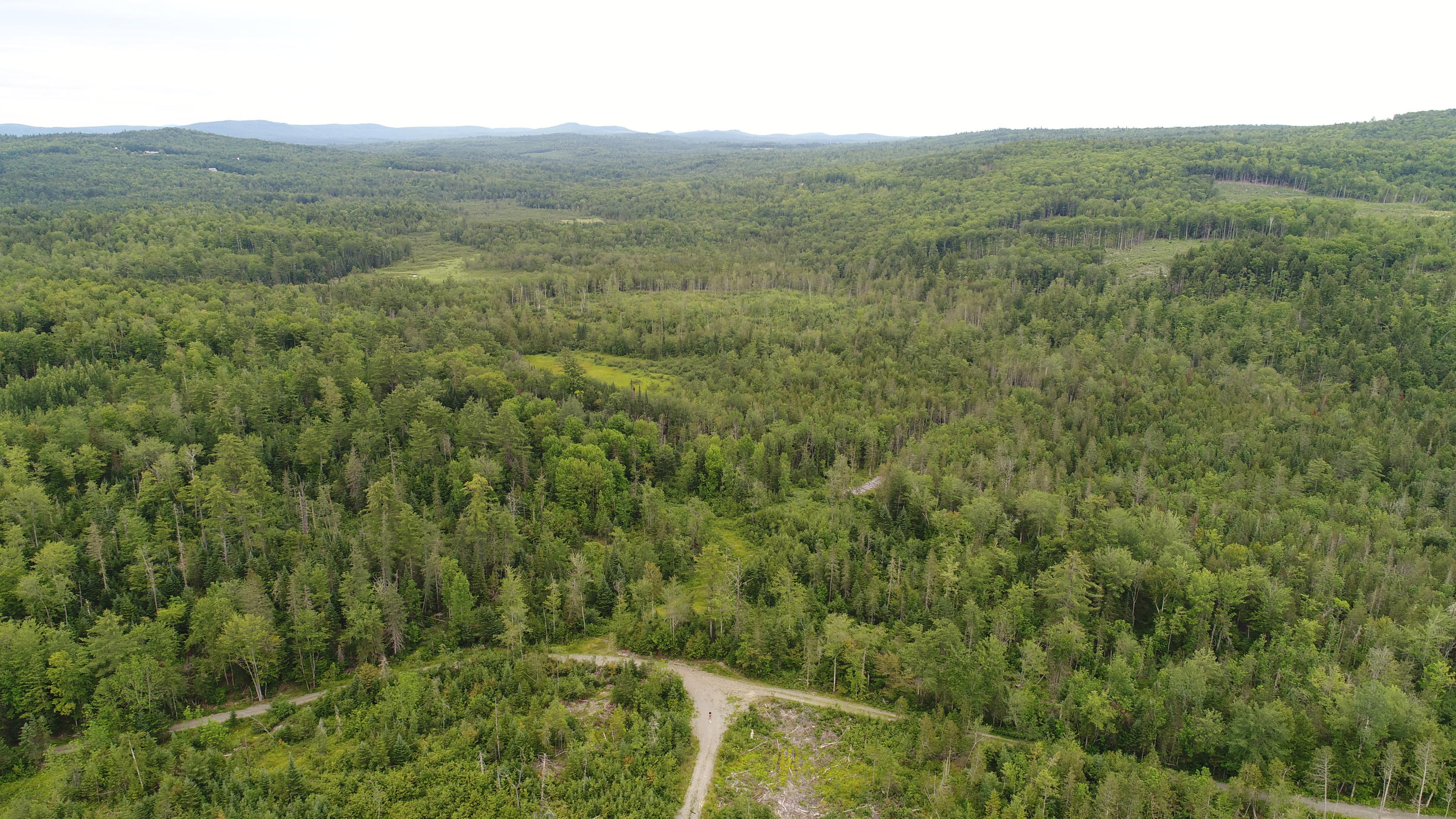 Tbd McCarty Road Solon, ME 04979 - Photo 11 of 17 DJI_0114