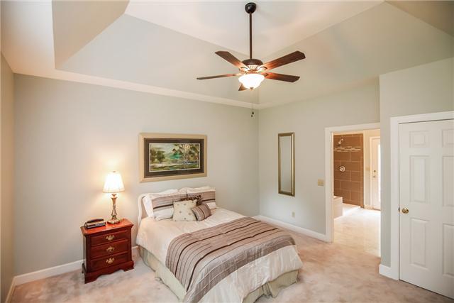 7324 Snow Mangrum Road Fairview, TN 37062 - Photo 8 of 20 Downstairs master suite (15x14) has vaulted ceiling, walk-in closet and floor to ceiling window. Because there is another master on the second floor, this space could easily serve as in-law suite or guest suite.