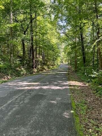 5 Owl Hollow Road Southwest McDonald, TN 37353 - Photo 4 of 32