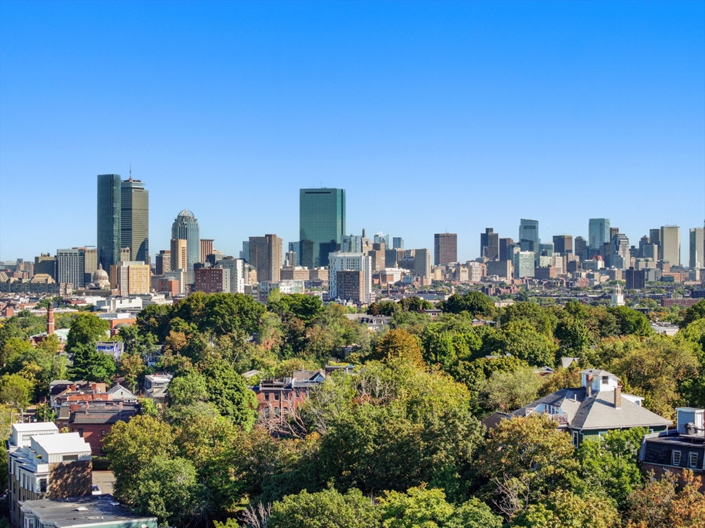 118 Marcella Street, Unit 4 Boston, MA 02119 - Photo 30 of 30