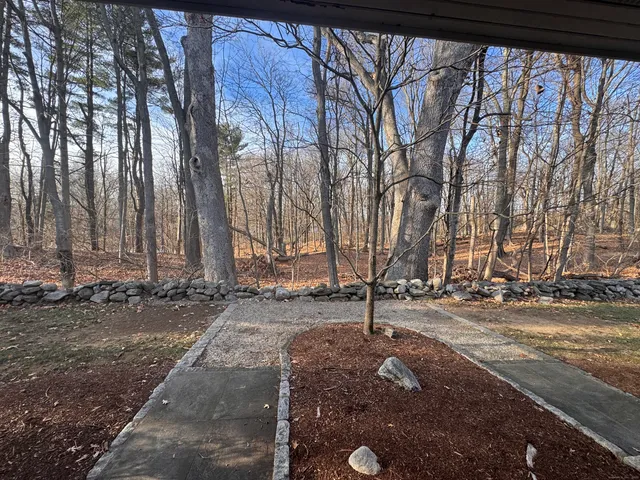 a backyard of a house with lots of green space