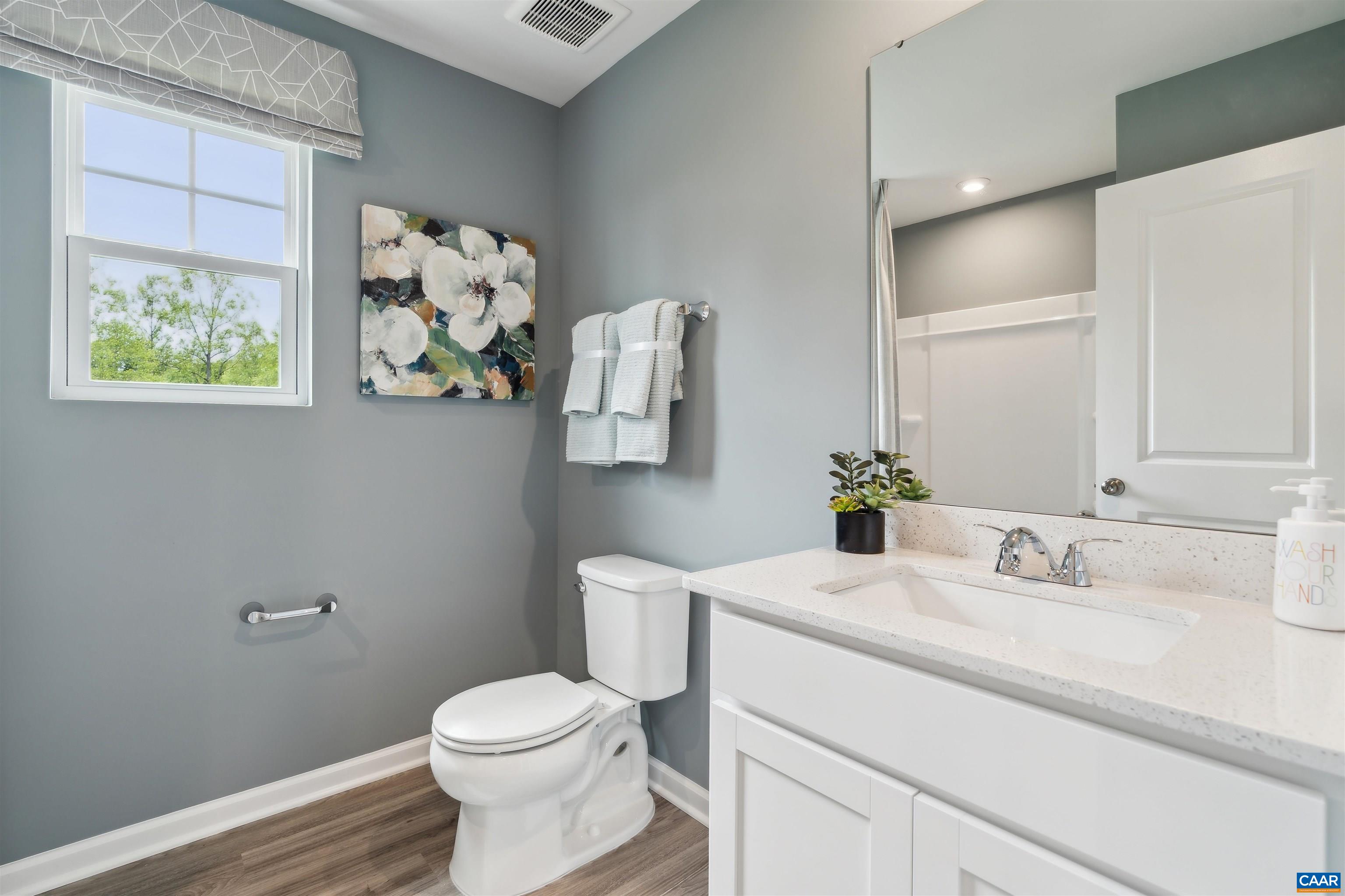 384 Trailfork Road, Unit LOT 91 Palmyra, VA 22963 - Photo 24 of 55