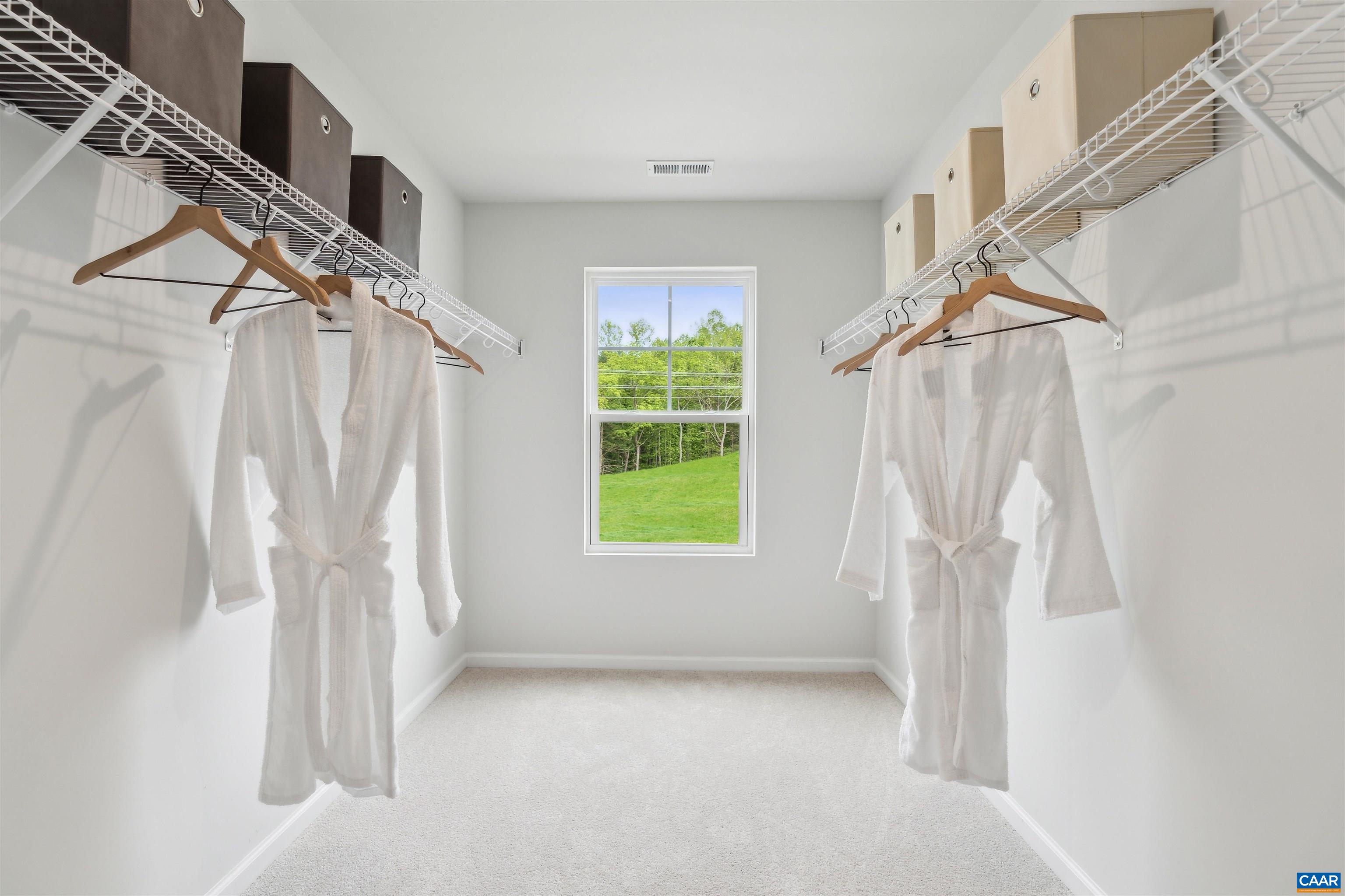 384 Trailfork Road, Unit LOT 91 Palmyra, VA 22963 - Photo 34 of 55