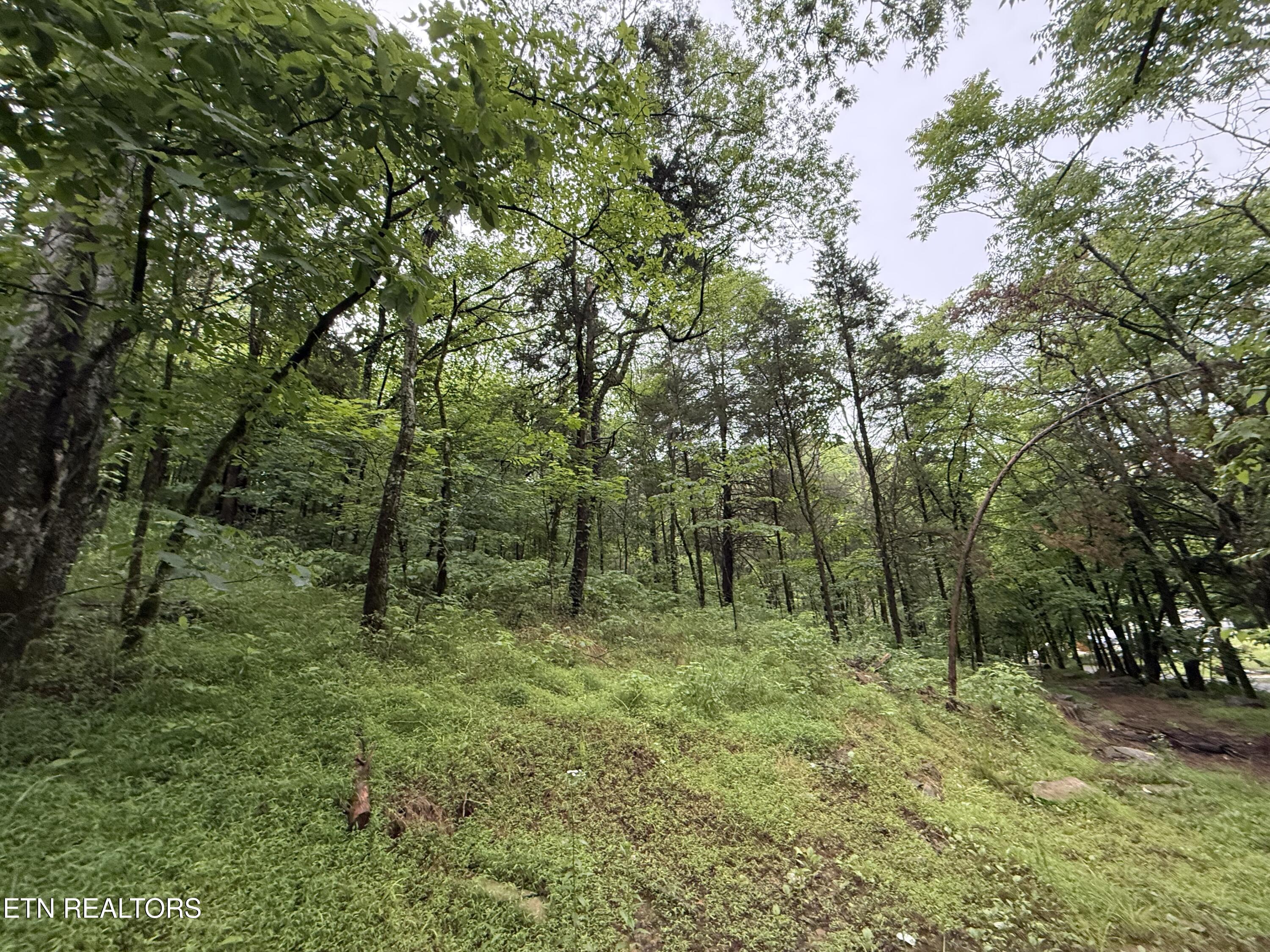 940 Riley Creek Road Whitleyville, TN 38588 - Photo 24 of 30 IMG_6453