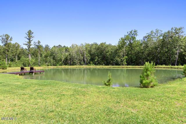 1077 East McHenry Road Perkinston, MS 39573 - Photo 35 of 47 037