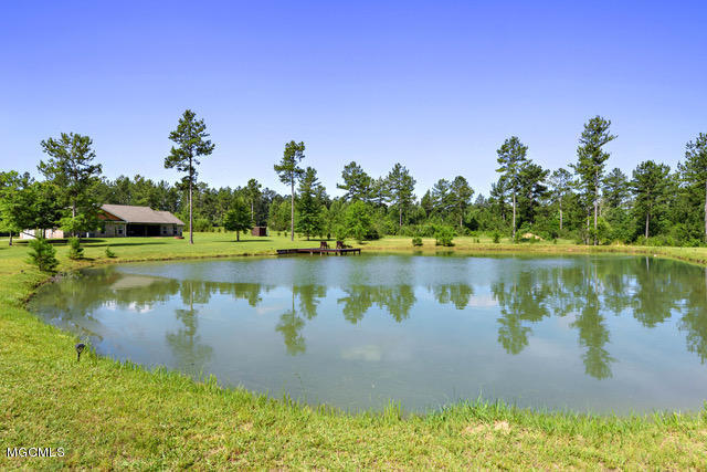 1077 East McHenry Road Perkinston, MS 39573 - Photo 38 of 47 040