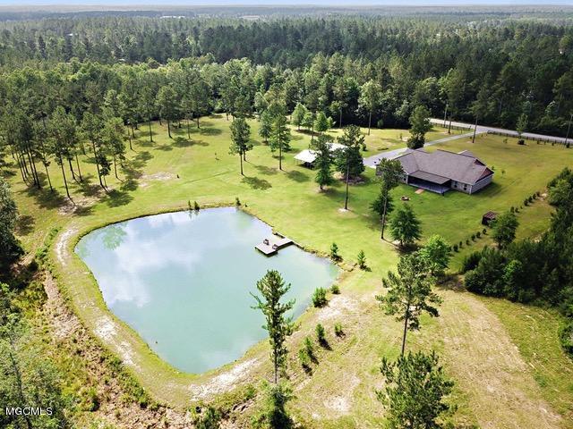 1077 East McHenry Road Perkinston, MS 39573 - Photo 43 of 47 045