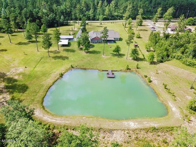 1077 East McHenry Road Perkinston, MS 39573 - Photo 44 of 47 046