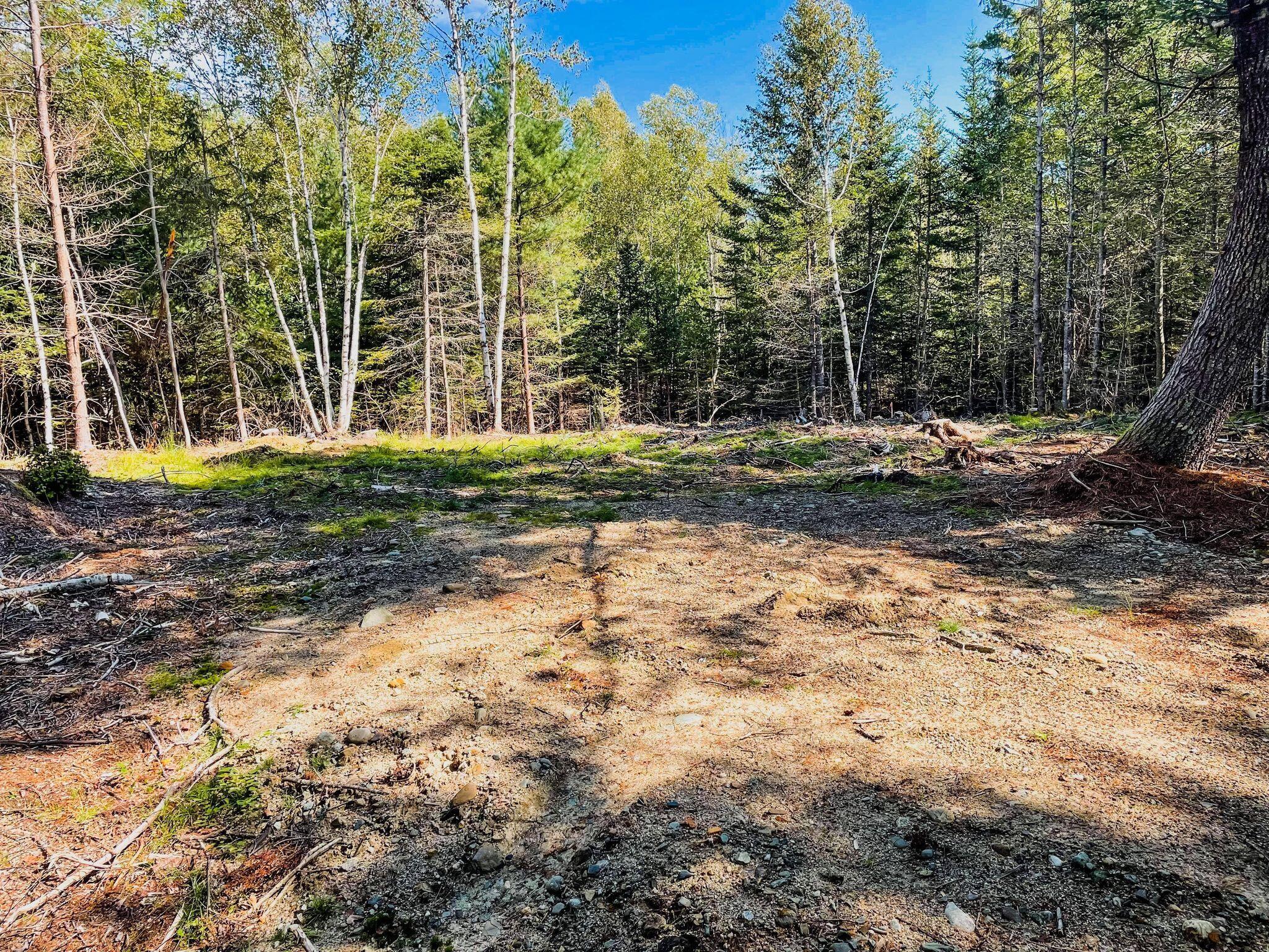 Map8 Map8 Lot11-1 Addison, ME 04606 - Photo 3 of 5 242181982_2440336876100165_1793822841510