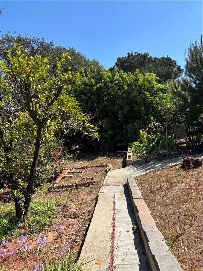 1734 Adalane Place Fallbrook, CA 92028 - Photo 6 of 16