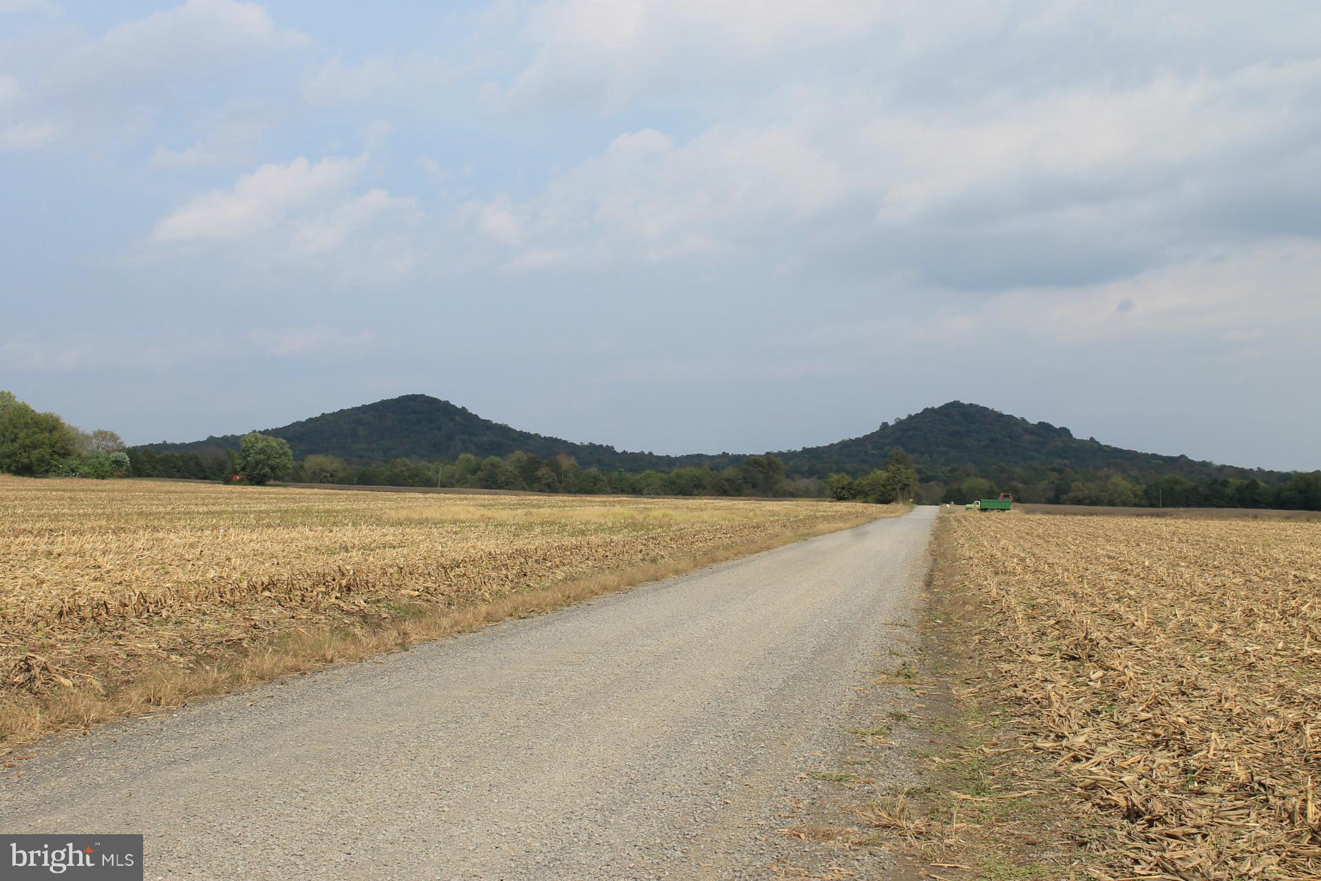Twin Mountain Road Mitchells, VA 22729 - Photo 3 of 13 Twin Mountains!