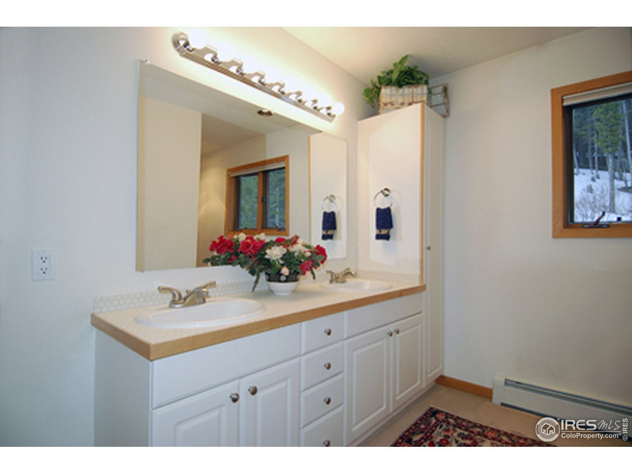 33515 Gap Road Golden, CO 80403 - Photo 9 of 15 Gallery Image 9