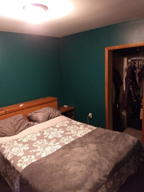 657 Durham Avenue Reed City, MI 49677 - Photo 10 of 11 DURHAM BED1