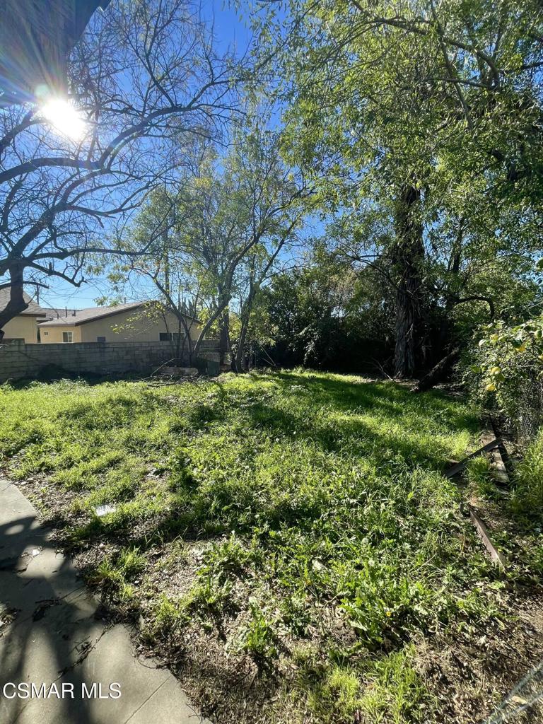 2050 7th Street San Fernando, CA 91340 - Photo 4 of 6 a view of yard with green space