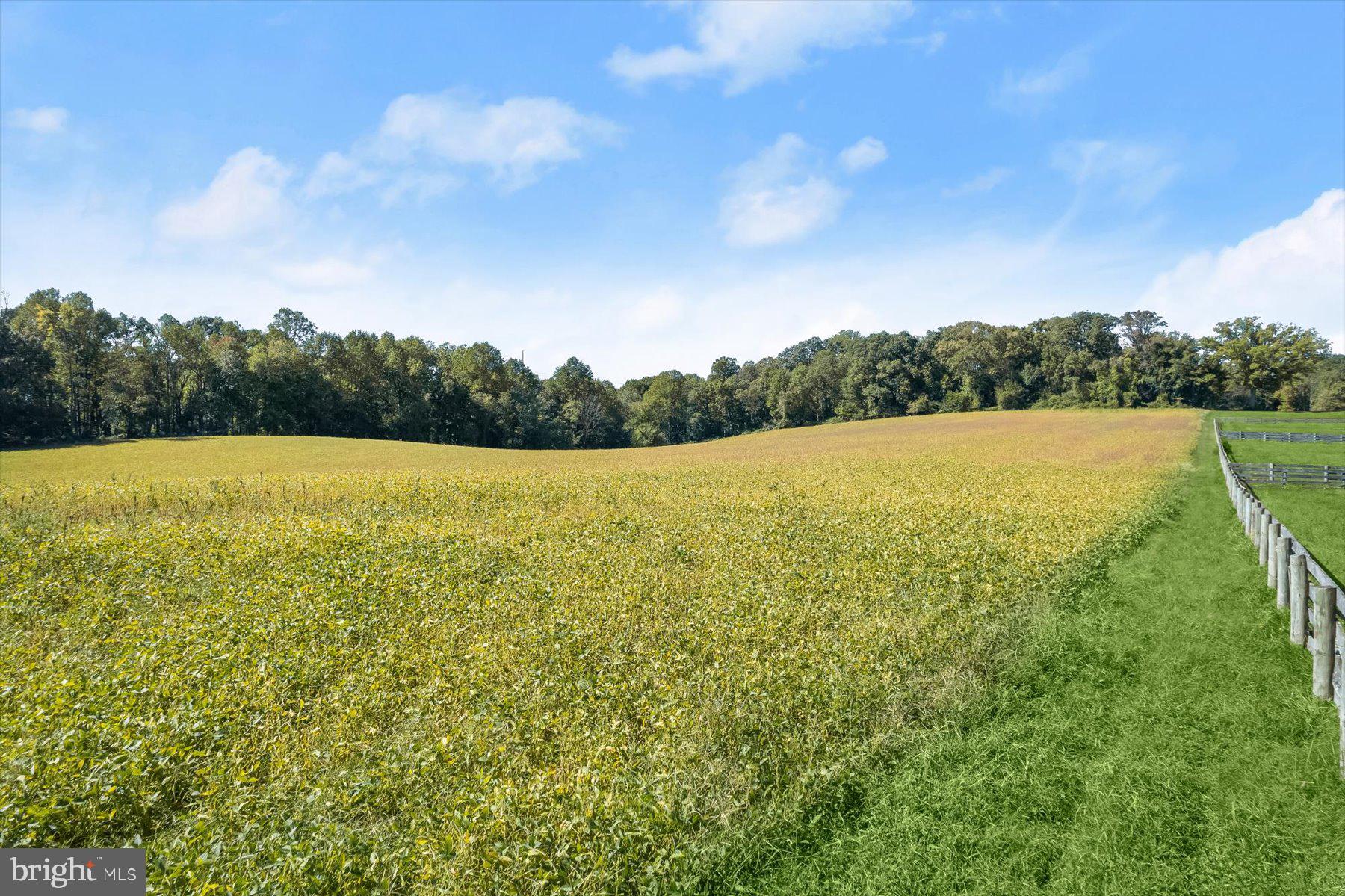 Annapolis Rock Road Woodbine, MD 21797 - Photo 14 of 22 Ground View