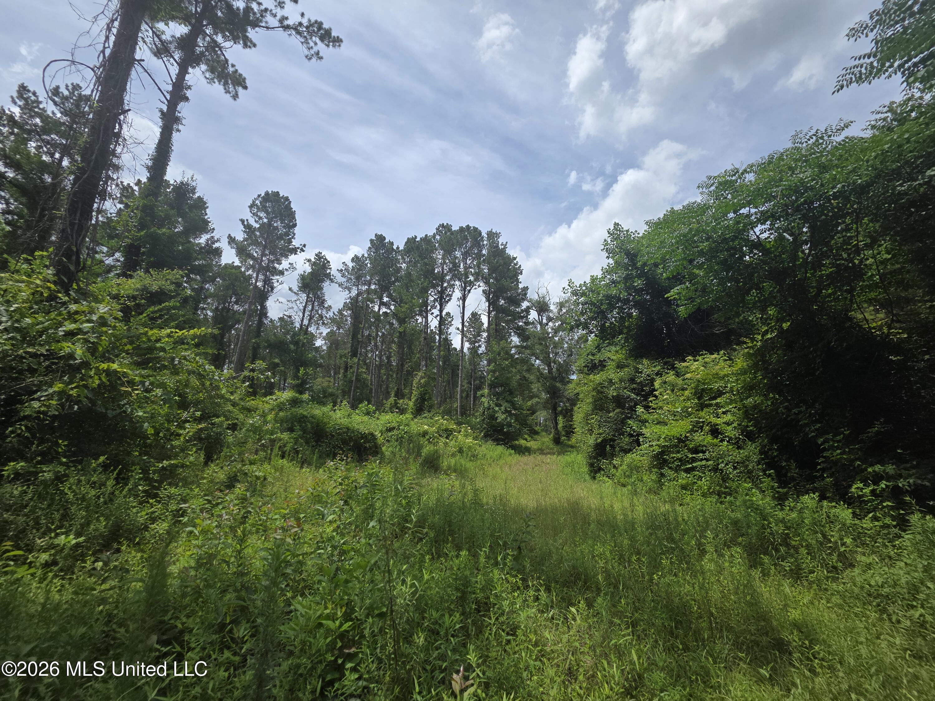 244 Foster Road Sontag, MS 39665 - Photo 66 of 105 35623