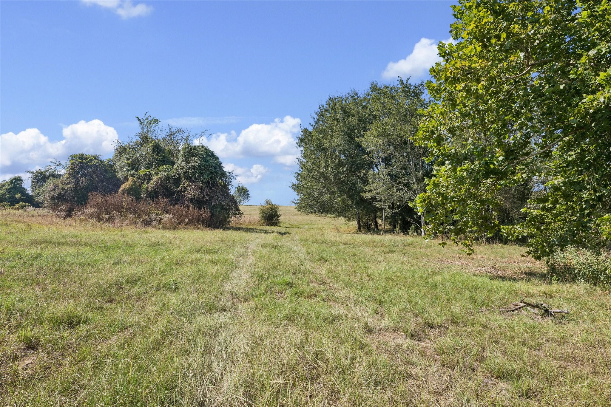 0 Ripple Lane New Ulm, TX 78950 - Photo 14 of 17 Gallery Image 14