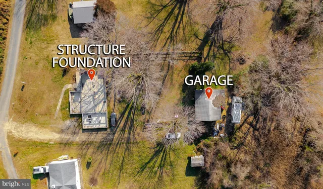 a view of a yard with plants