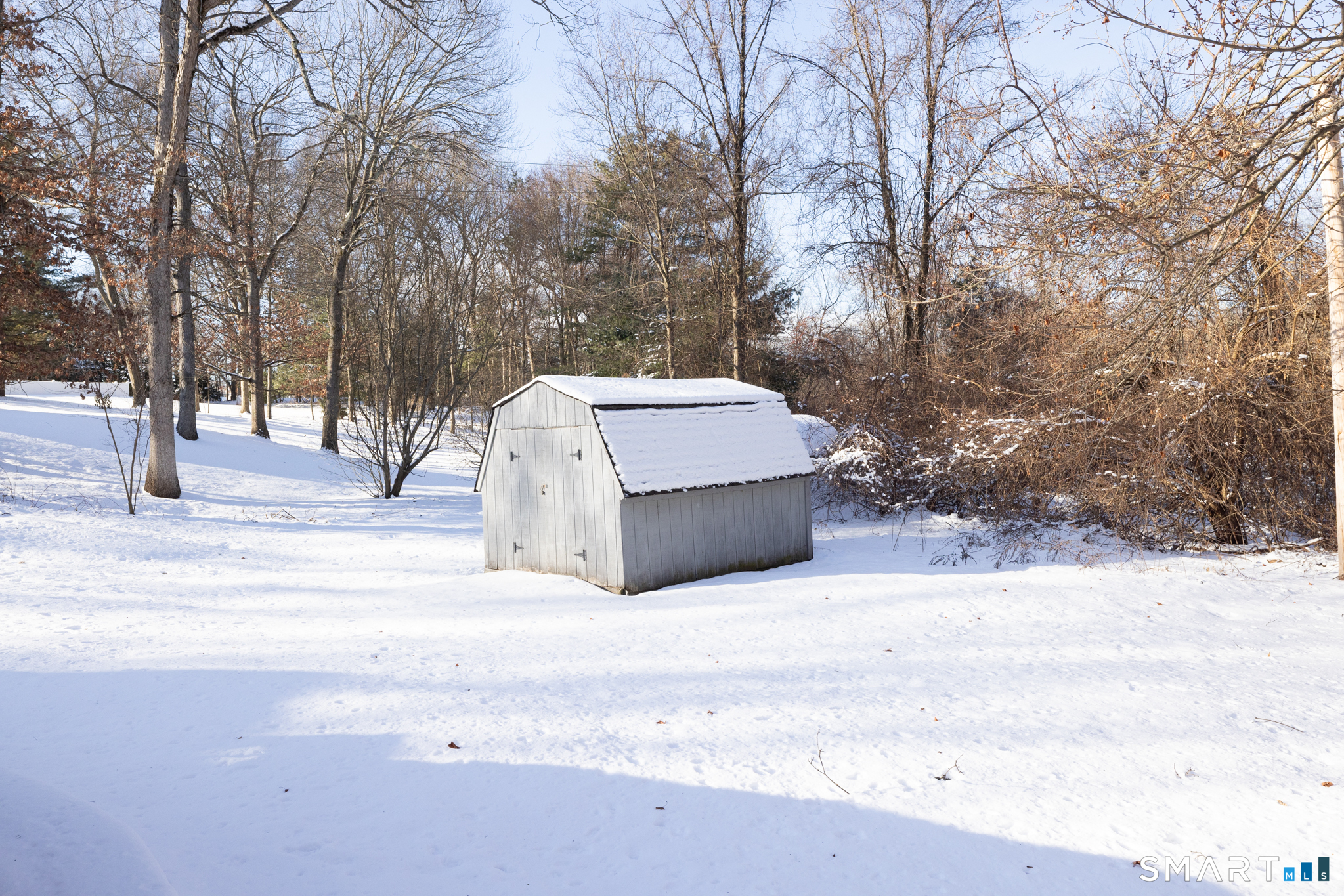 40 November Lane Southington, CT 06479 - Photo 30 of 33 a view of backyard with trees