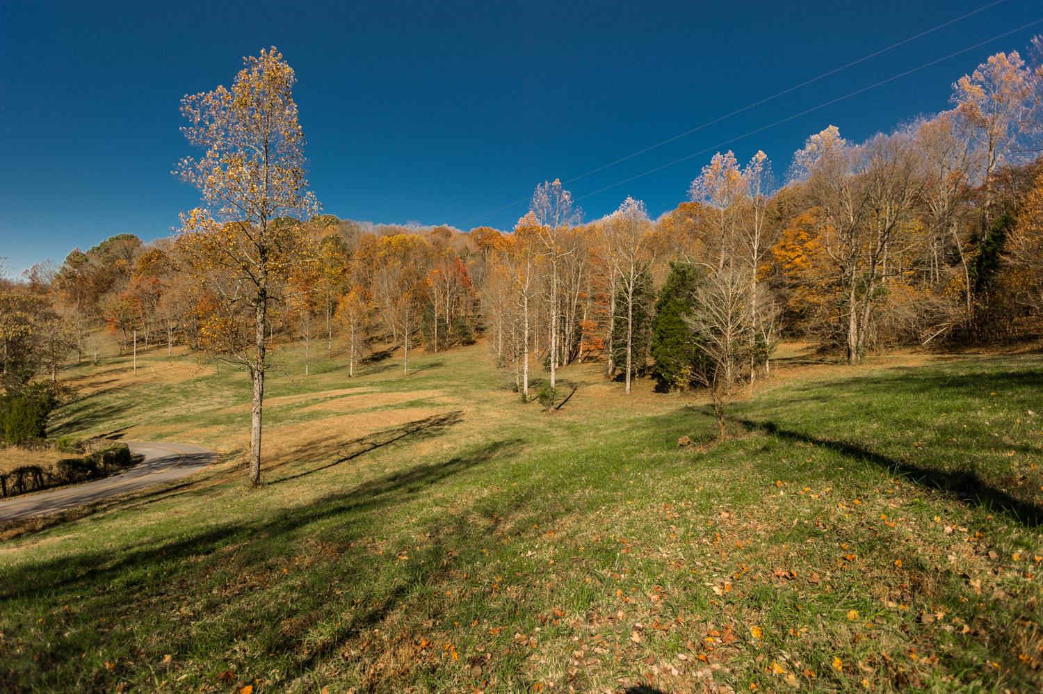 2 Red Tuttle Road Bethpage, TN 37022 - Photo 13 of 17 a view of a backyard of the house