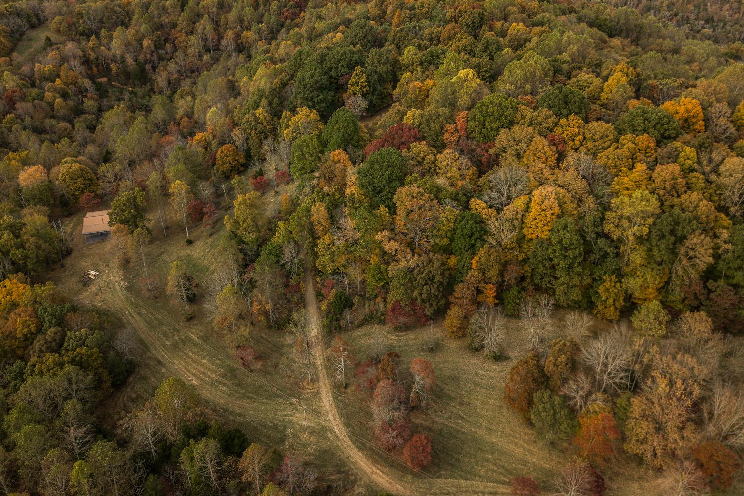 2 Red Tuttle Road Bethpage, TN 37022 - Photo 6 of 17 a view of a yard