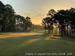 a view of an outdoor space and yard