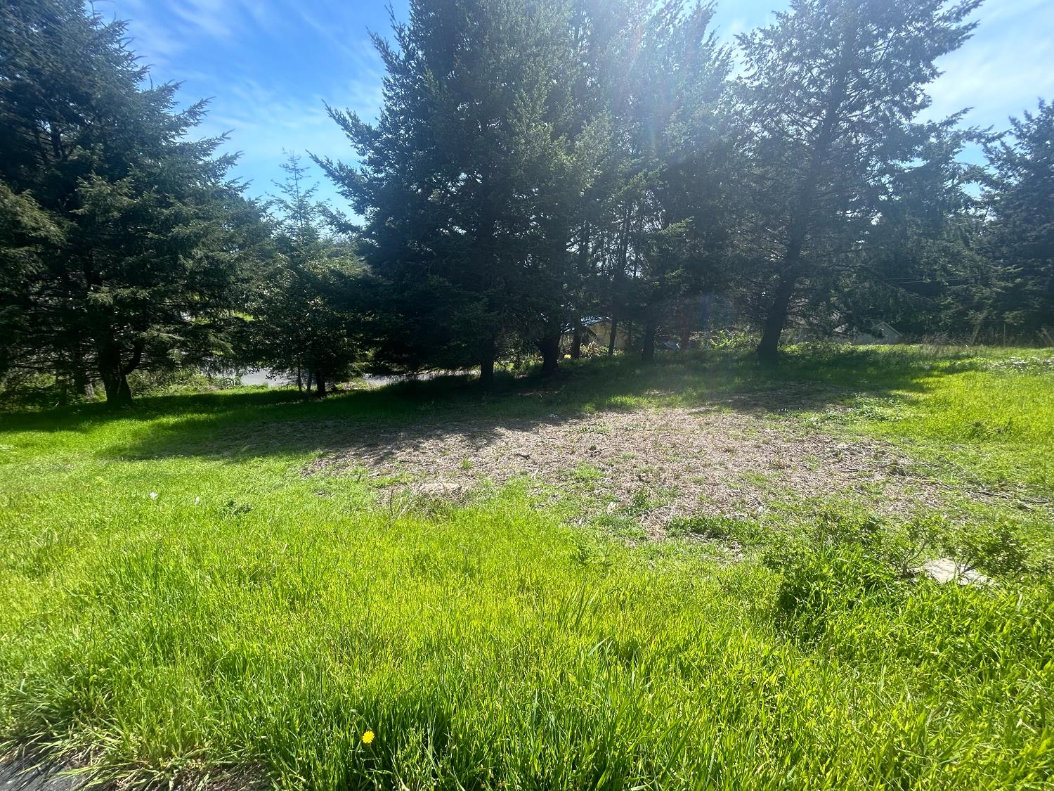 56 Vista Road Whitethorn, CA 95589 - Photo 1 of 5