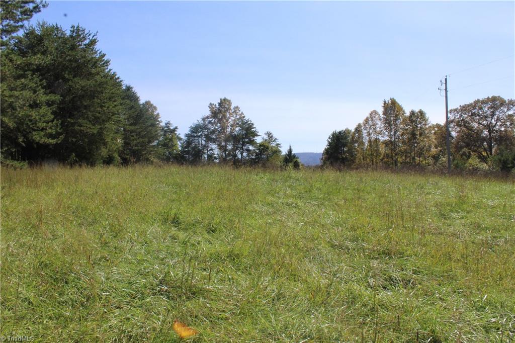 0 Farm Road, Unit 10 16 Pilot Mountain, NC 27041 - Photo 8 of 10 Gallery Image 8