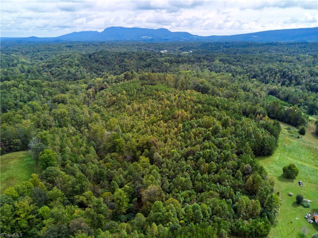 0 Farm Road, Unit 10 16 Pilot Mountain, NC 27041 - Photo 9 of 10 Gallery Image 9