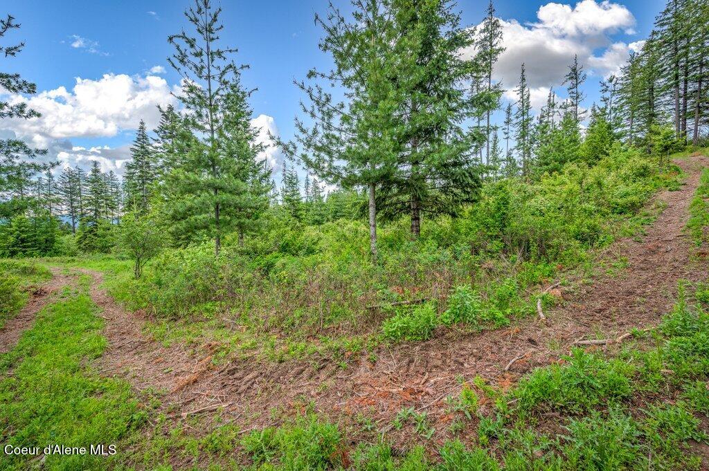 1 Freedom Way Road Plummer, ID 83851 - Photo 29 of 34 --36.jpg-SMALL